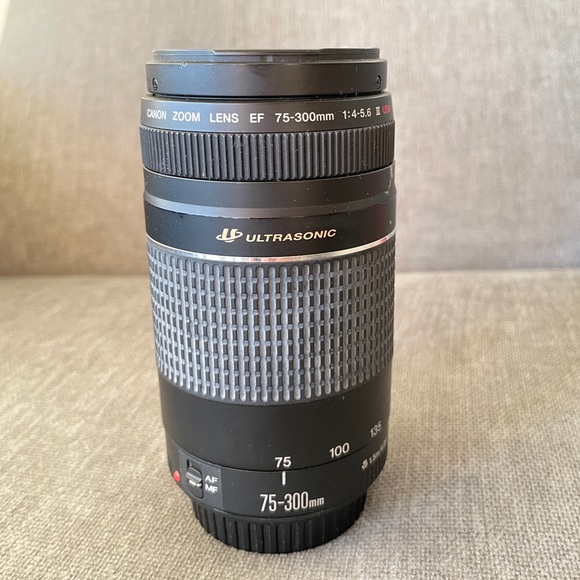Canon 75-300 lenses